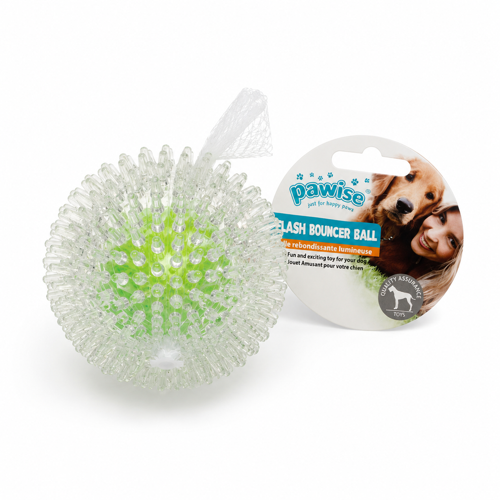 Flash Bouncer Ball
