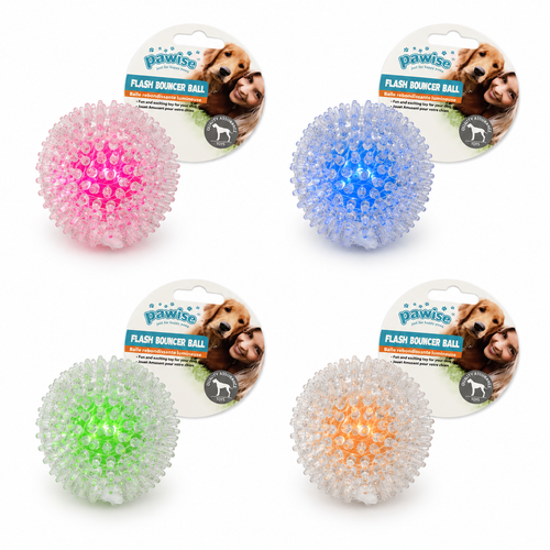 Flash Bouncer Ball