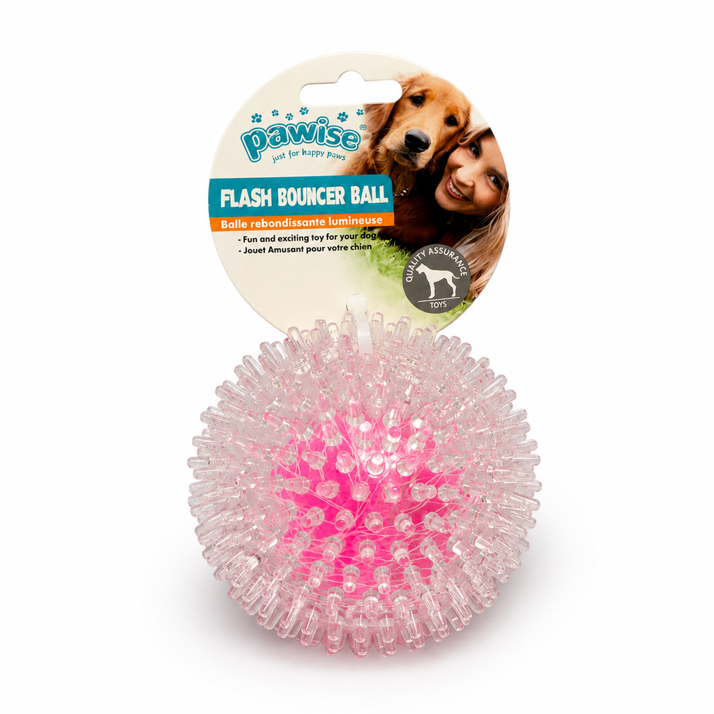 Flash Bouncer Ball