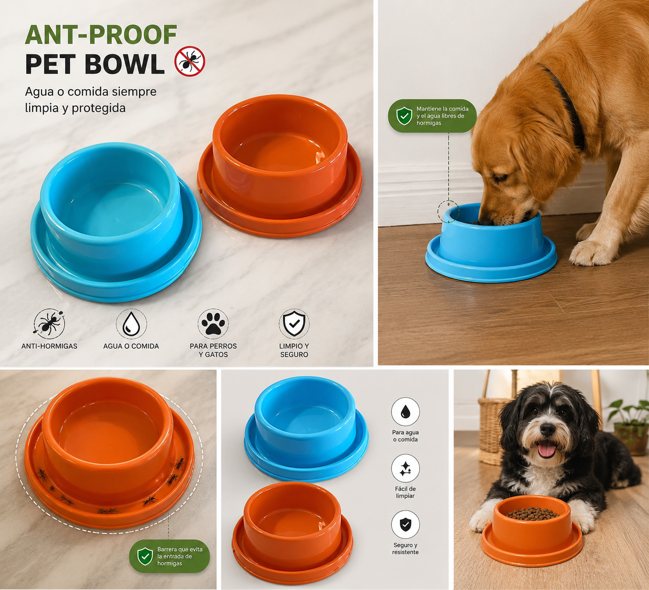 Ant-Proof Pet Bowl 🐶🐜